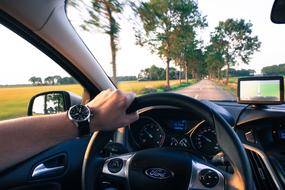 Person with wrist watch, driving the "Ford" car on the road, among the colorful and beautiful fields and trees