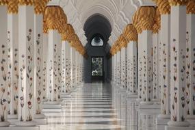 beautiful Abu Dhabi Mosque