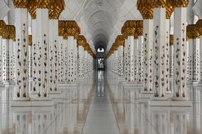 amazing Abu Dhabi Mosque