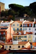 panoramic view of houses in lisbon