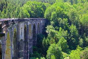 magnificent Bridge Nature