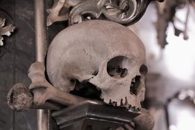 skull of Sedlec Ossuary in KutnÃ¡ Hora