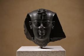 head of Pharaoh as an exhibit