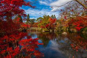 landscape of Japanese nature