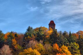 Berwartstein Erlenbach Dahn at Autumn