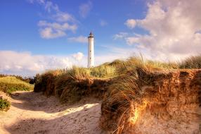 Coast Lighthouse