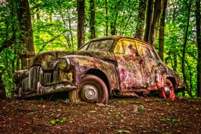 rusty car in the woods