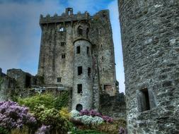 beautiful Castle Ruins