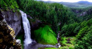 Beautiful Salt Creek Falls, among the green plants in Oregon, USA