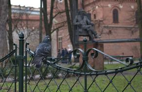 beautiful Dove KrakÃ³w Planty