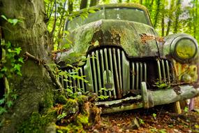 Auto Car Cemetery in forest