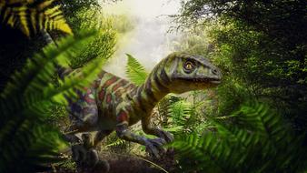 Dinosaur Raptor drawing