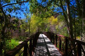 Gila Trail Foot