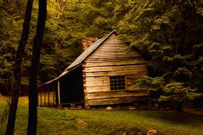 Log Cabin Landscape
