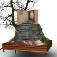 fairy dragon book