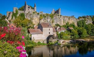 wonderful Castle Ruins and flower