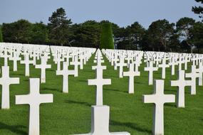 Cemetery Friedhof