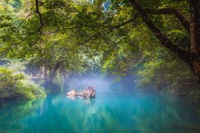 rock in calm water beneath trees at mist, tranquil landscape, Vietnam