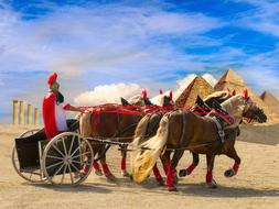 ancient roman warrior driving quadriga in Landscape of Egypt, digital art