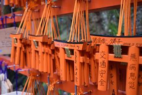 beautiful Torii Gate Japan