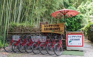 Japan Bike Rentals