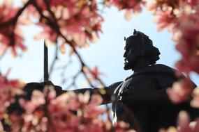 blooming magnolia on the background of King Tomislav Statue in Zagreb