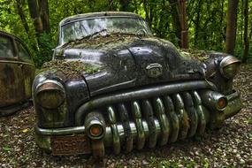 Auto old Car Cemetery