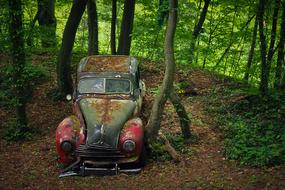 Auto Cemetery in the green forest