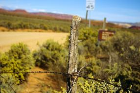 barbed fence in Utah