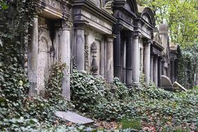 Beautiful, old Jewish cemetery in the green plants, in Poland