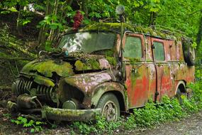 rusty old car in green moss in the forest