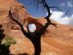 Landscape of Ear Of The Wind Arch