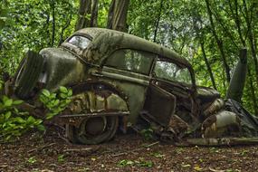 Beautiful, old, rusty, green oldtimer car, among the green plants