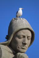 Seagull and Monument