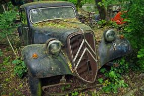 Car Cemetery green forest