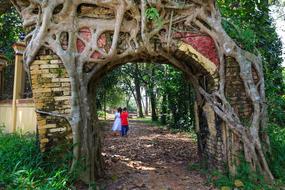 beautiful Tree Door Cling