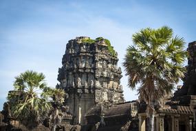 Beautiful Angkor Wat, among the palm trees in Siem Reap, Cambodia