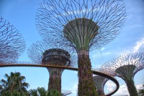 Super trees monuments in Singapore