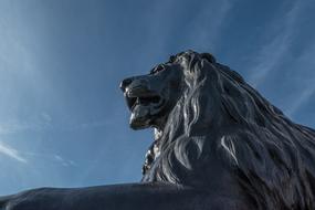 beautiful Lion Statue