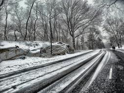 snow road in Central Park