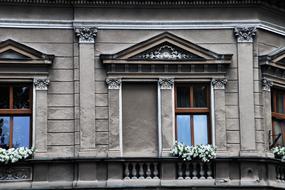 white flowers on a gray municipal building