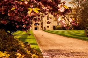 Windsor Castle Landmark