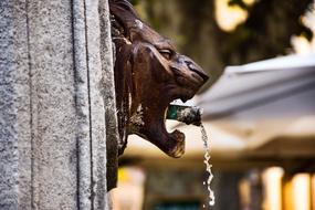 lion head, aged fountain outdoor, france, Aix-En-Provence