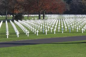 lot of white crosses on green lawn, world war II memorial