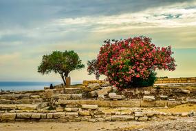 amazing Kourion Landscape