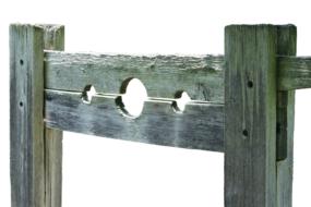 Pillory Device