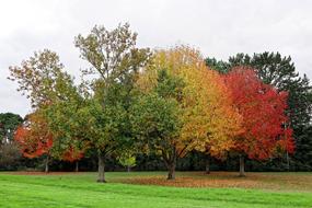 amazing Nature Park