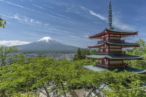 beautiful Fuji Mount Pagoda