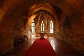 red carpet in the hall of the palace