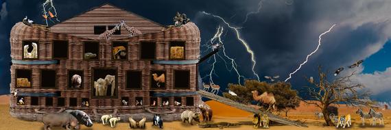 Noah animals